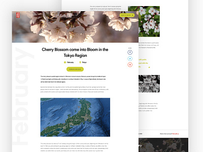 When To Travel - Cherry Blossom adventure blog daily ui homepage interface japan timeline travel weather web design website