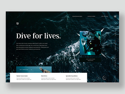 Dive For Lives adventure charity design expedition homepage ocean plastic free scuba diving web