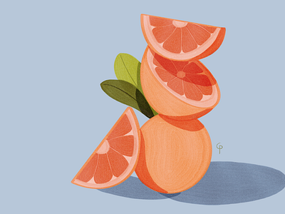 Oranges | Personal fruit illustration illustration procreate