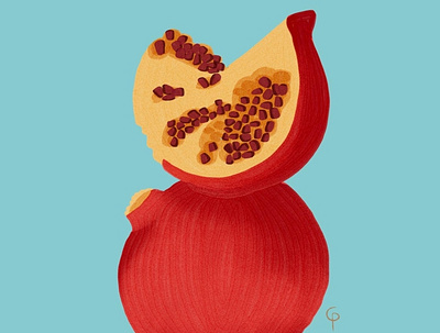 Pomegranate | Personal fruit illustration pomegranate procreate