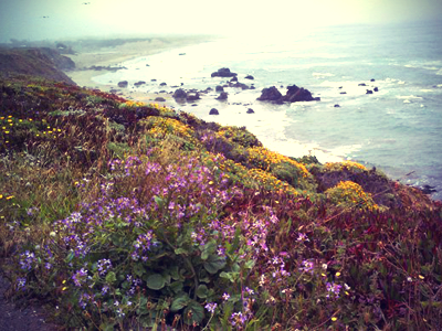Pacific coast