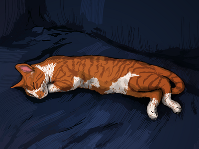 CATSLEEPING blues cats digital art illustration orange