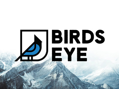 Birds Eye Drone Co. bird bird logo birds eye drone