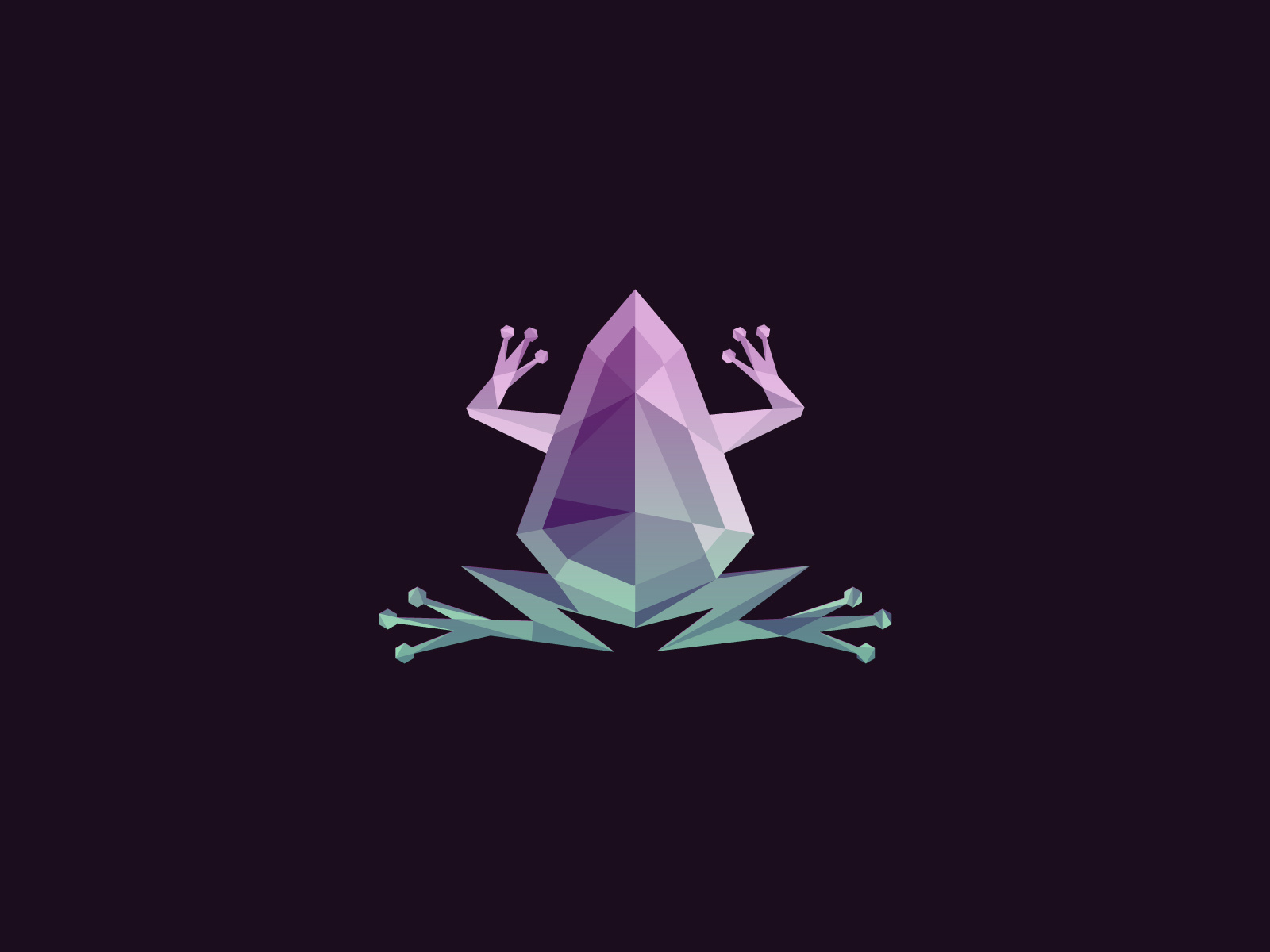 Bliss Car Wash by Matt Romo for La Visual on Dribbble