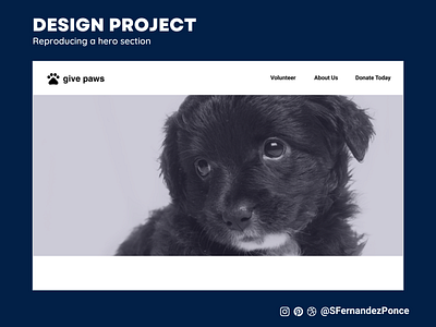 Designlab UX Academy Foundations | Design project design figma hero section ui ui design ux ux design visual design