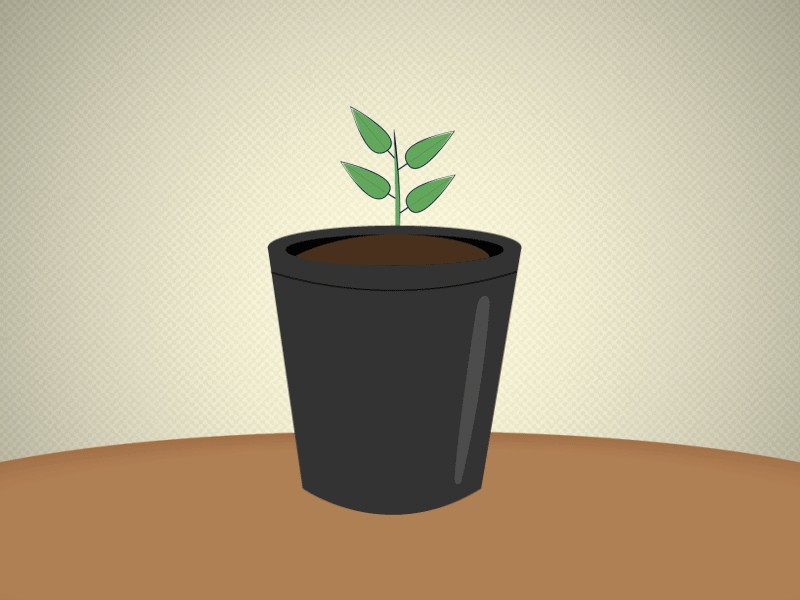 Falling Potted Plant