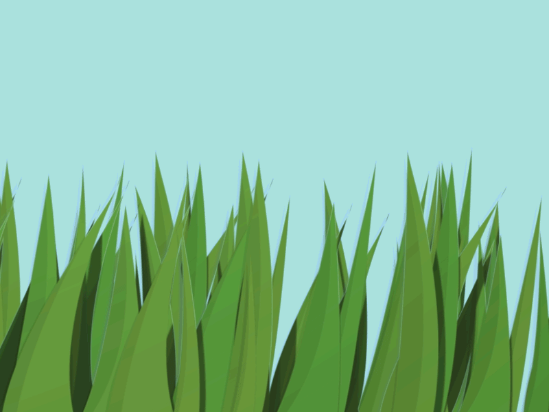 Grass after effects animation grass loop plant spring