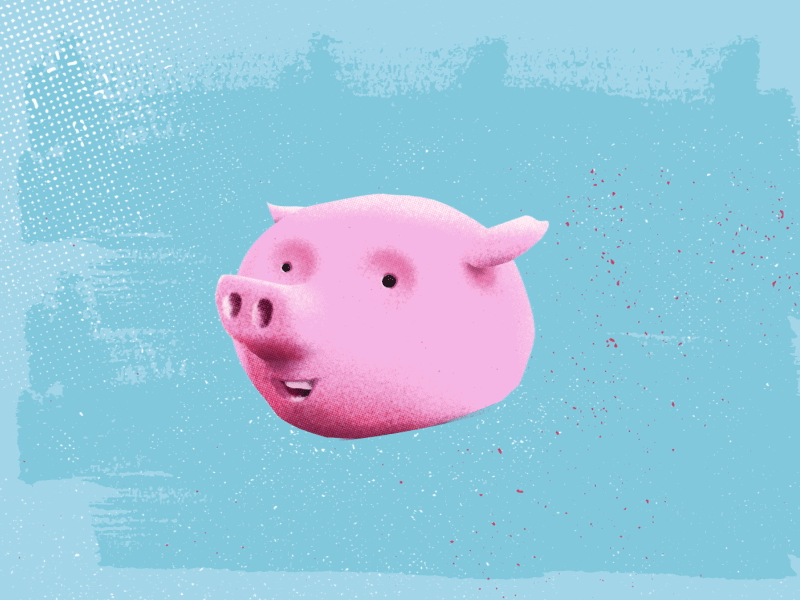 Pig Head Animation after effects animation dribbble fun illustration loop motion motion graphic pig wink
