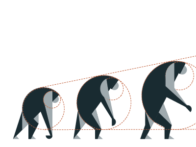 Primate B guides evolution illustration monkeys primate