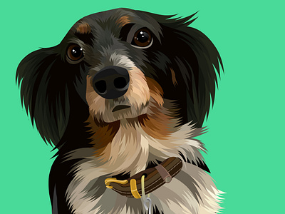 Illustration of pet vector portraits