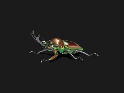 Staghorn Beetle beetle bug color flying illustration insect nature vector