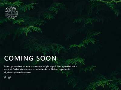 Coming Soon web coming soon coming soon design green ui web design