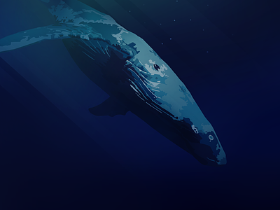 Vector Whale animal blue ocean sea vector whale