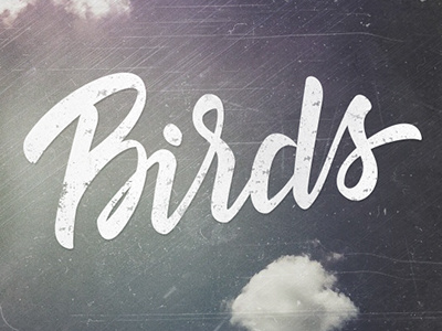 Birds brush custom drawn hand lettering logo print script type typography