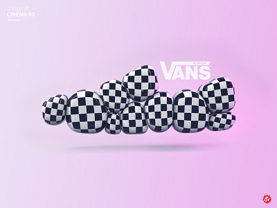 Vans slip-on