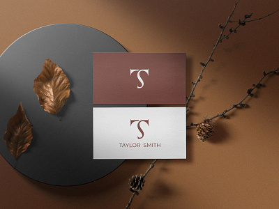 TS/ST Monogram Logo design