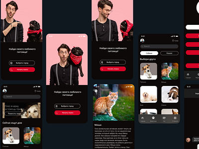 Animal Shelter figmadesign mobile app mobile design user flow webdesign