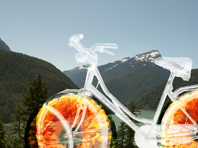 Ghost Mountain Bike bicycle collage flower mountain
