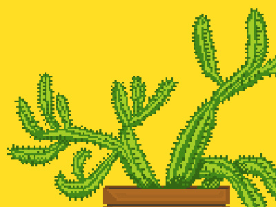 Cactus cactus pixel plant succulent