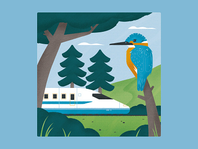Kingfishers and High Speed Trains