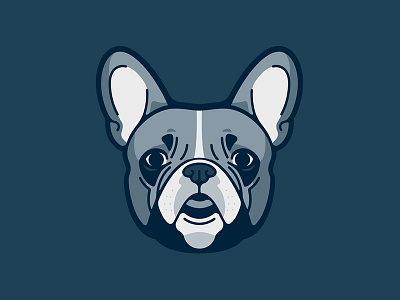 French Bulldog animal dog french bulldog frenchie pet portrait puppy