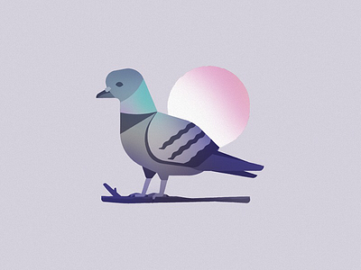 Pigeon... animal bird branch gradient pigeon wildlife wing