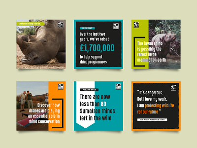 Save the Rhino social assets animal charity conservation instagram nature rhino social wildlife