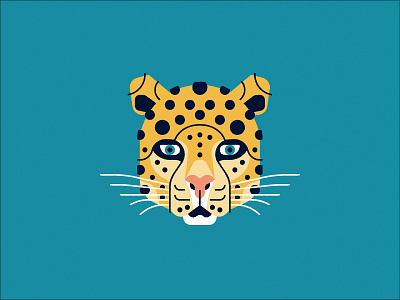 Leopard animal big cat cat dribbble leopard spots weekly warm up wildlife