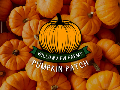 Pumpkin Patch animation branding design farm logo graphic design illustration logo pumpkin pumpkin farm pumpkin logo pumpkin patch rebound