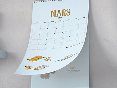 Calendrier 2022 design graphic design illustration indesign photoshop