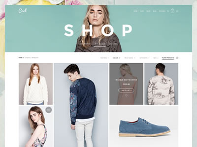 Shop features interaction product shop shop page ui ux web website