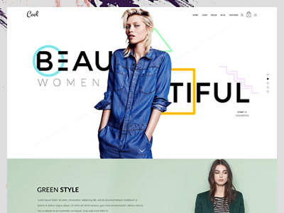 Beautiful Shop features interaction product shop shop page ui ux web website