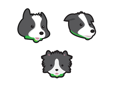Border Collie character collie dog mascot puppy