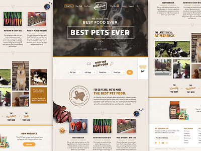 Merrick Website Concept merrick pet food pets web website