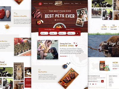 Merrick Website Concept 2 merrick pet design pet food pets ui ui ux web