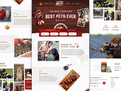 Merrick Website Concept 2