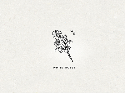 "White Roses" Graphic design drawing graphic illustration logo music poster print roses
