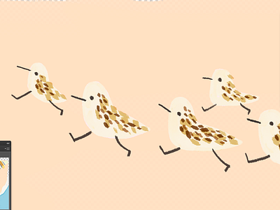 sanderlings animal bird cute digital illustration sanderling