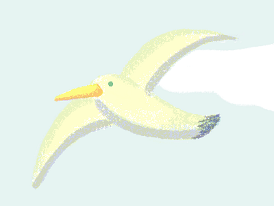 seagull 2 bird blue free illustration seagull sky yellow