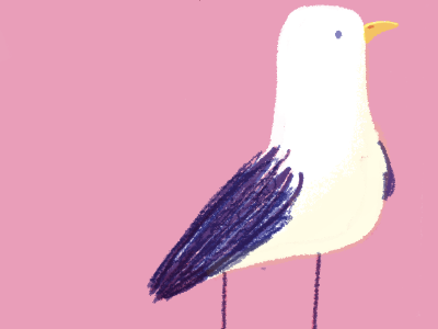 seagull 3 seagull bird animal cute color illustration digital photoshop texture colour