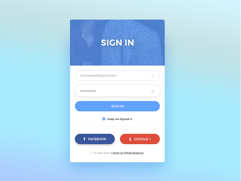 Another Sign In Form by Cristina Talpa on Dribbble