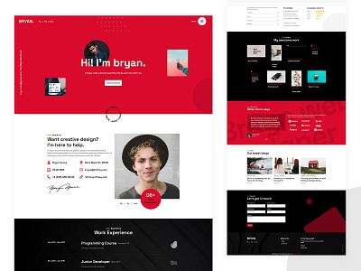 Bryan Resume Word Press Theme