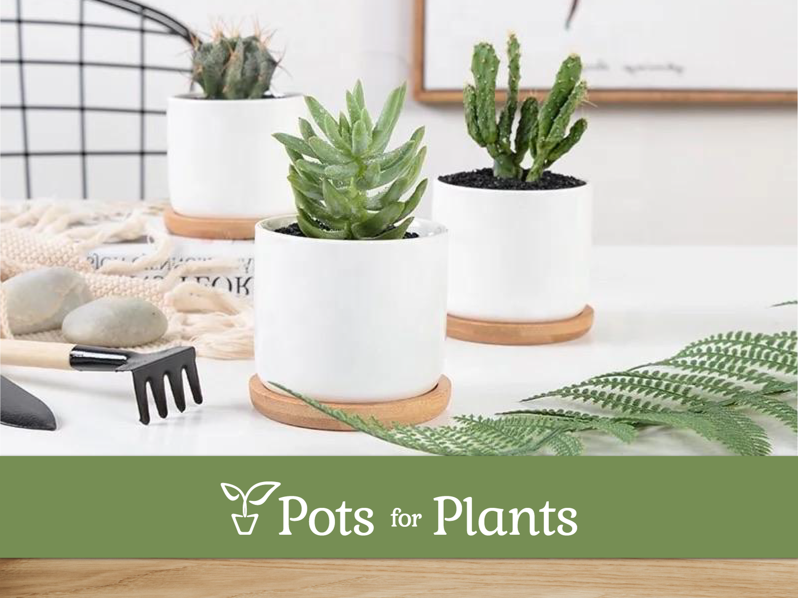 Pots for Plants by Abegail Castillo on Dribbble