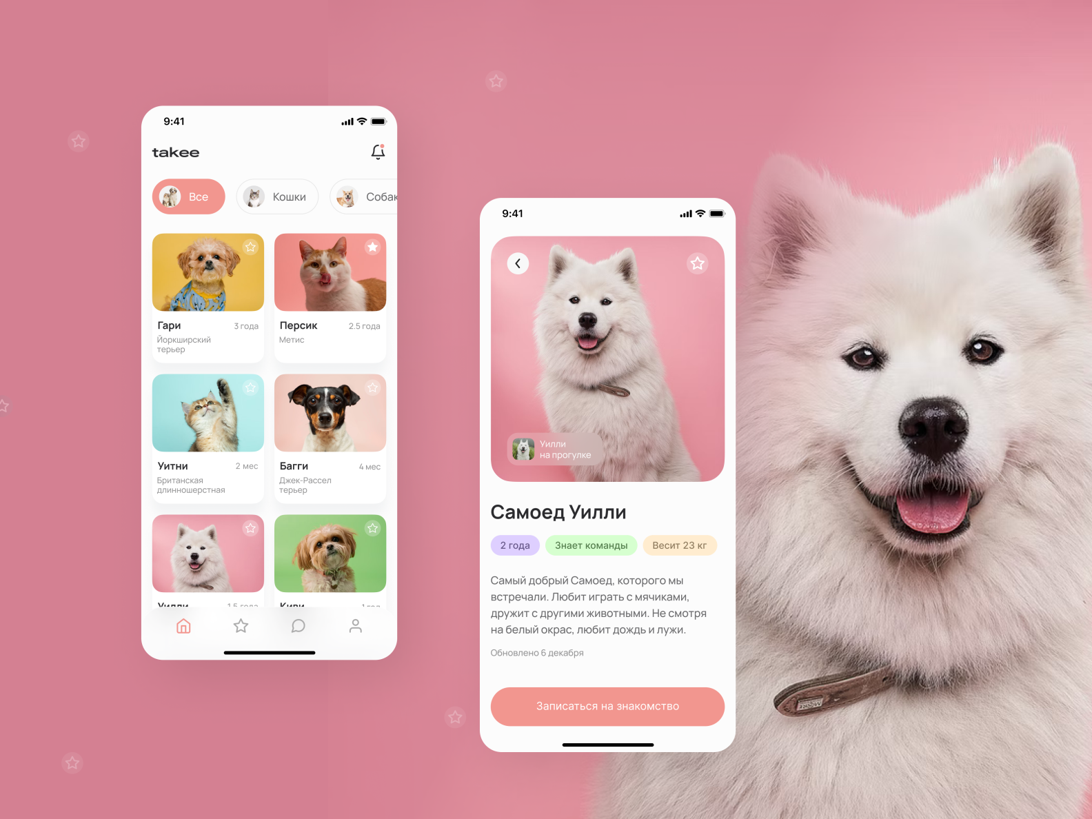 Pet   Mobile App   Concept By Tania On Dribbble