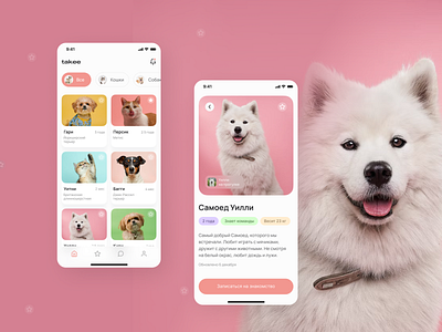 Pet / Mobile app / Concept