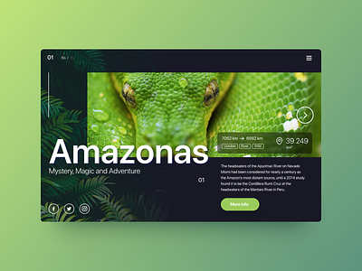 Daily UI Challenge - Poisonous amazonas green inspiration poisonous snake ui