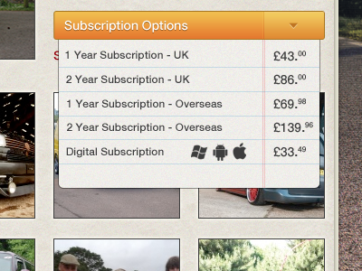 Subscription Options 2