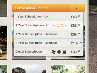 Subscription Options 3