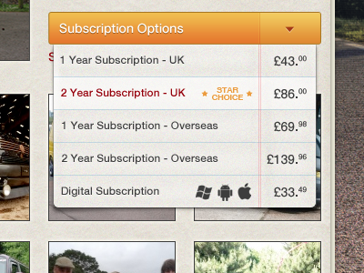 Subscription Options 3 - Prices right aligned