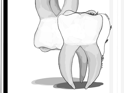 .teeth illustration inktober inktober2020 teeth